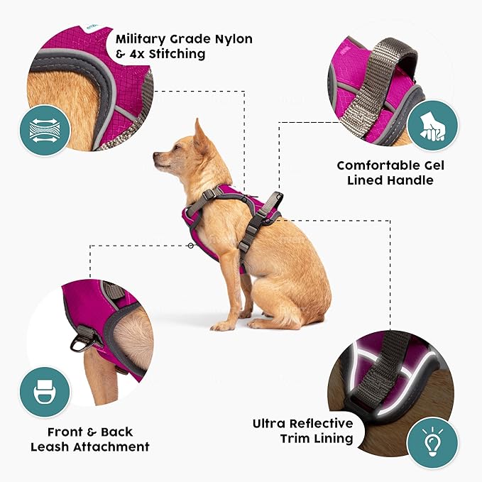 Embark Adventure Dog Harness, No-Pull Reflective Trim Dog Harness for Small, Medium & Large Dogs - Military Grade Nylon, 2 Leash Clips & Gel Lined Handle. Soft & Padded Puppy Dog Vest for Any Breed