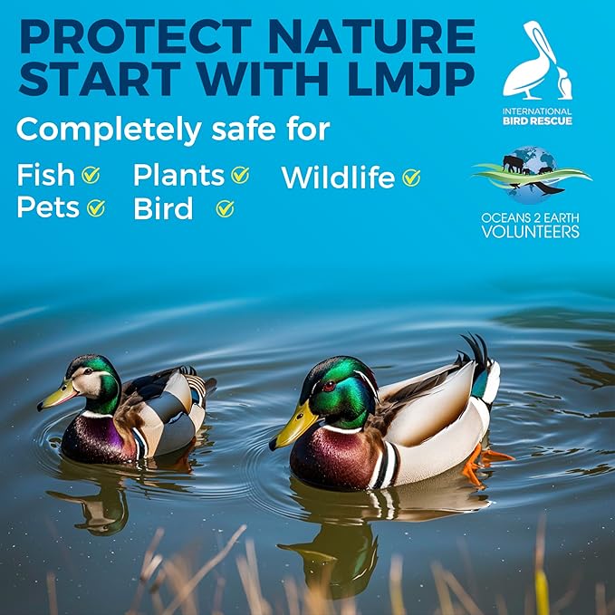 Pond Clarifier Treatment – 36 Packets Natural Pond Water Clear for Outdoor Lakes – Beneficial Enzymes to Improve Water Clarity & Eliminate Odor – Treats Up to 432,000 Sq Ft