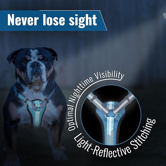 No-Pull Dog Harness with Handle - Escape Proof, Anti-Pulling, Grip Control, Multi-Angle Reflective for Safe Walks & Training, Easy On & Off, Metal Buckle–Pet Harness, Medium/Large Dogs- H3- Blue