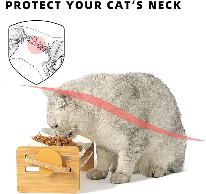 FUKUMARU Elevated Cat Ceramic Bowls, Small Dog 15° Tilted Raised Food Feeding Dishes, Solid Bamboo Water Stand Feeder Set for Cats and Puppy