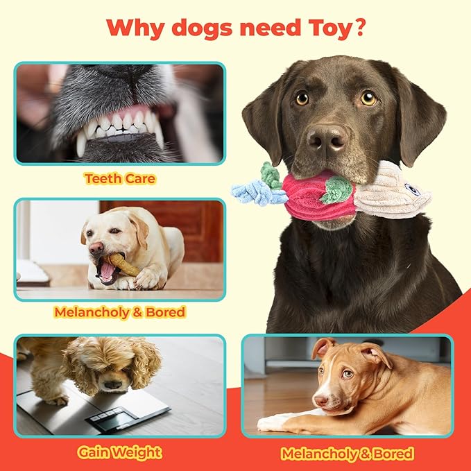 3pcs Dog Squeaky Toys, Plush Stuffed Puppy Chew Toy for Extended Play, Interactive Toys Great Gifts for Small Medium Large Chewer Dogs, Pet Toy Bulk to Keep Them Busy(Forg&Hippo&Pig)