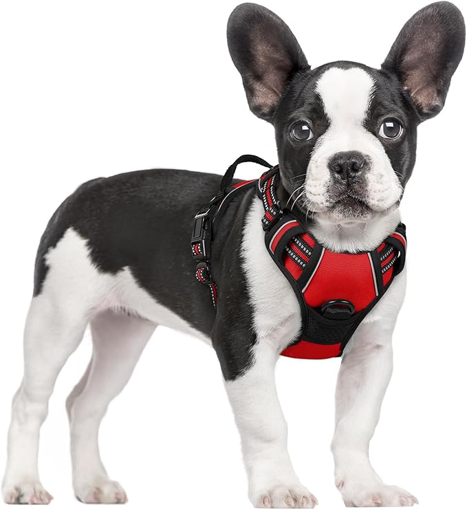 rabbitgoo Dog Harness No Pull with 2 Leash Clips, Adjustable Soft Padded, Reflective Oxford No Choke Pet Vest with Easy Control Handle for Small Dogs, Red, S
