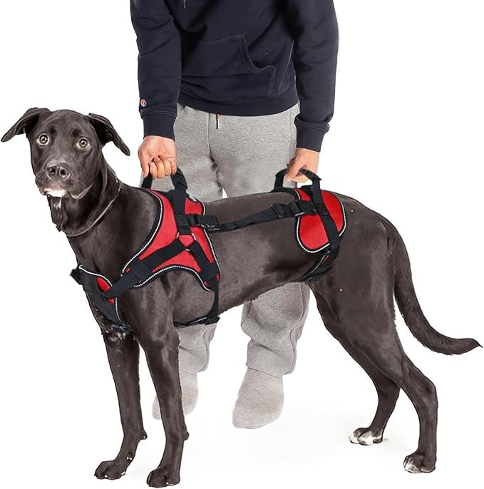 Doggie Stylz Multi-Functional Full-Body Lifting Dog Harness Vest, Designed for Front-Only, Rear-Only or Full-Body Dog Lifting. Please Measure Your Before Ordering.