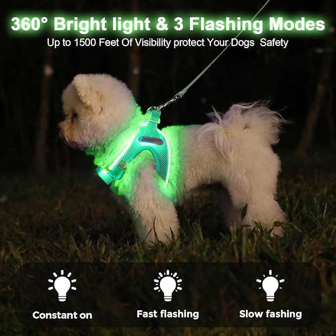 Light Up Dog Harness,Rechargeable LED Dog Harness for Small Medium Large Dogs,Reflective Lighted Safety Vest for Night Walking & Camping,Lightweight & Adjustable,Light Green,L