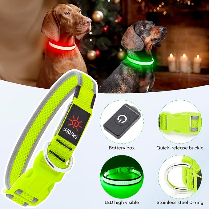 LED Dog Collar, Light Up Dog Collar USB Rechargeable, Brightest Dog Lights for Night Walking, Adjustable Dog Collar Light for Dog Safety(Small, Neon Green)