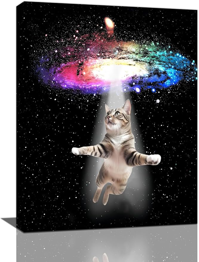 Funny Cat Wall Art Canvas Galaxy Wall Decor Prints Framed Painting Animal Pictures Gifts Artwork for Bathroom Living Dining Kitchen 12"x16"