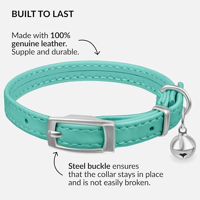CollarDirect Leather Cat Collar with Bell - Kitten Collar, Small and Big Cat Collar for Boy Cats, Girl Cats with Safety Elastic Strap (Neck Fit 6"-7", Mint Green)