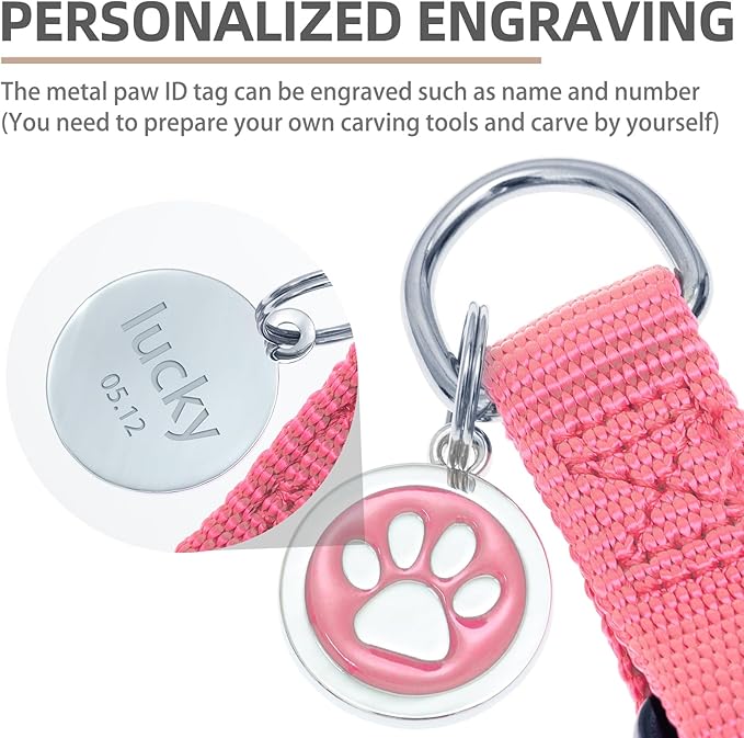 PUPTECK No Pull Dog Harness Soft Adjustable Basic Nylon Step in Puppy Vest Outdoor Walking with ID Tag and A-ir Tag Case, Fuchsia, L