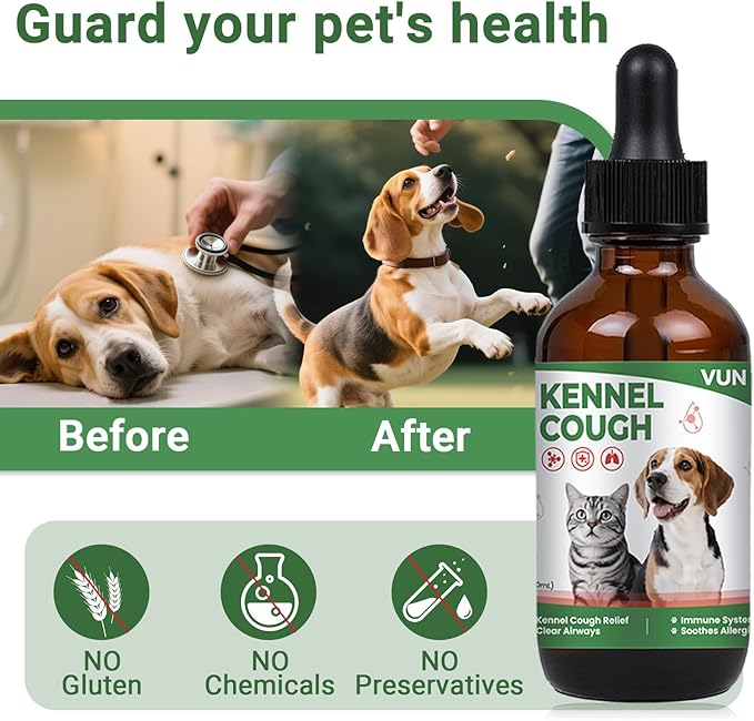 Kennel Cough Treatment Drop for Dogs &Cats,Help Wet and Dry Cough Relief,Seasonal Throat Discomfort, Natural Herbal Cough Liquid with Licorice,Ginger for All Breeds & Sizes,2 fl oz Bacon Flavor