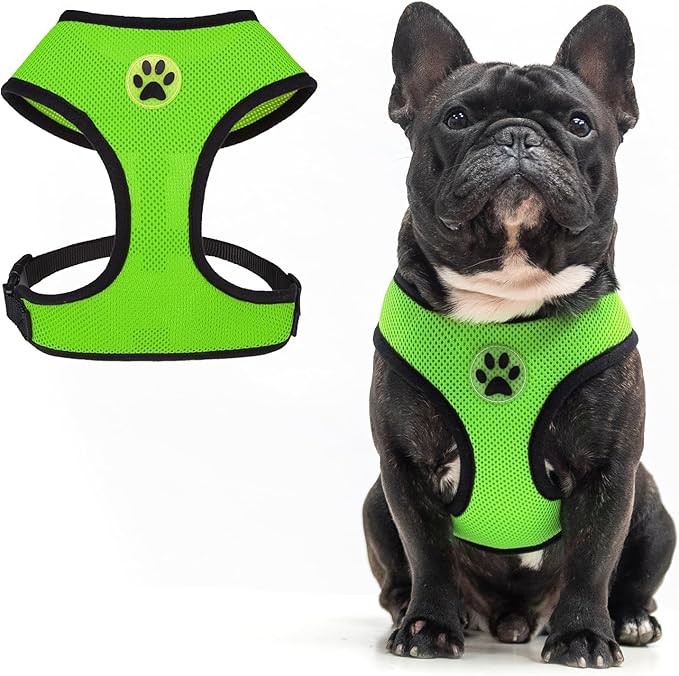 BINGPET No Pull Dog Harness,Soft Mesh Breathable All Weather Vest Harness,Safety Protection Design Durable Adjustable Step-in Easy Walk Dog Harness for Small Medium Large Dogs(Green,M)