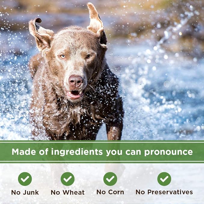 Organic Peanut Butter & Molasses Dog Treats – Healthy, Crunchy, Vegan Biscuits with Whole & Real Ingredients – All Natural & USA‐Baked, 4 Pound Bag