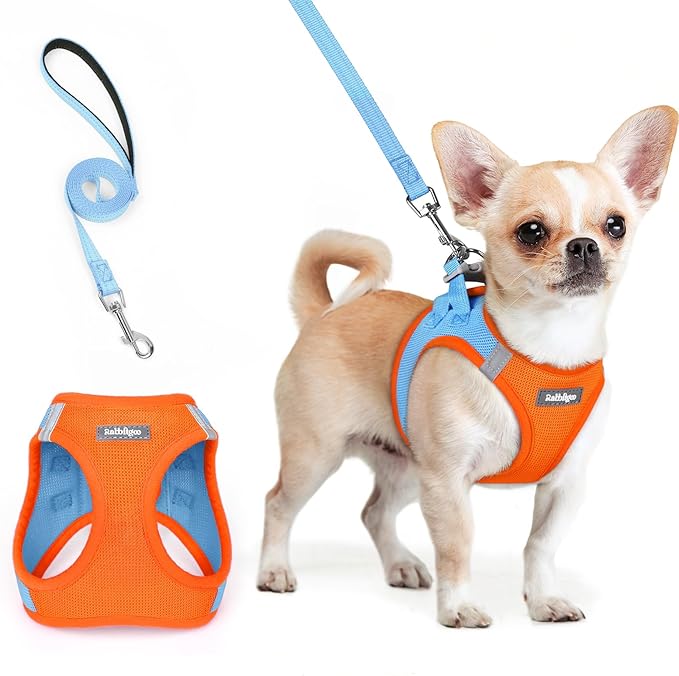 rabbitgoo Dog Harness Small Sized and Leash Set, Step in Soft Light Puppy Vest, Breathable Mesh Pet Harness, Reflective for Safe Easy Walking, Blue & Orange XXS