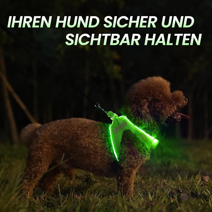 Pceotllar LED Dog Harness - Rechargeable, Flashing Light, No Pull, Reflective - Small/Medium, (Green S)
