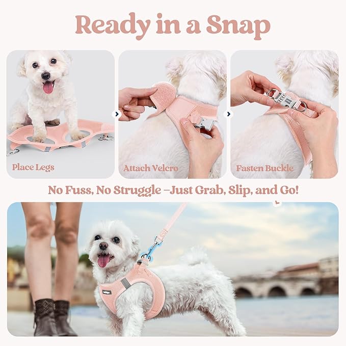 rabbitgoo Dog Harness Small Medium Sized and Leash Set, Step in Soft Light Puppy Vest, Breathable Mesh Pet Harness, Reflective for Safe Outdoor Walking, Pink L