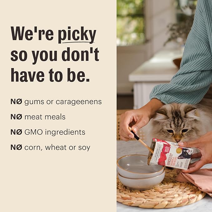 The Honest Kitchen Grain Free Minced Salmon & Cod in Fish Broth Gravy Wet Cat Food, 2.8 oz x12