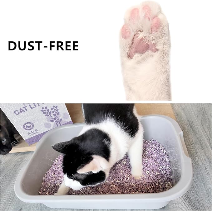 Tofu Cat Litter, Dust-Free Kitty Litter, Fast Drying, Ultra Absorbent Clumping Cat Litter Pellets, Lavender Odor Control, Less Scattering, Dust-Free Mixed.