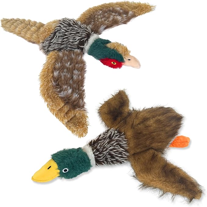 2 PCS Mallard Duck Dog Toys Squeaky D og Toy ,Stuffed Pheasant Do g Chew Toys Plush Mallard Duck Do g To y Interactive Do g Toys to Keep Them Busy , Pheasant Dog To y for Small Middle and Large Dogs