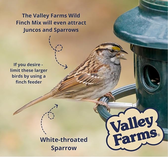 Valley Farms Wild Finch Mix (15 LB) Wild Bird Food for Outside Feeders, Wild Bird Seed with Millet and Chopped Sunflower Hearts for Birds, Finch Seed for Finch Feeders, Sunflower Kernels