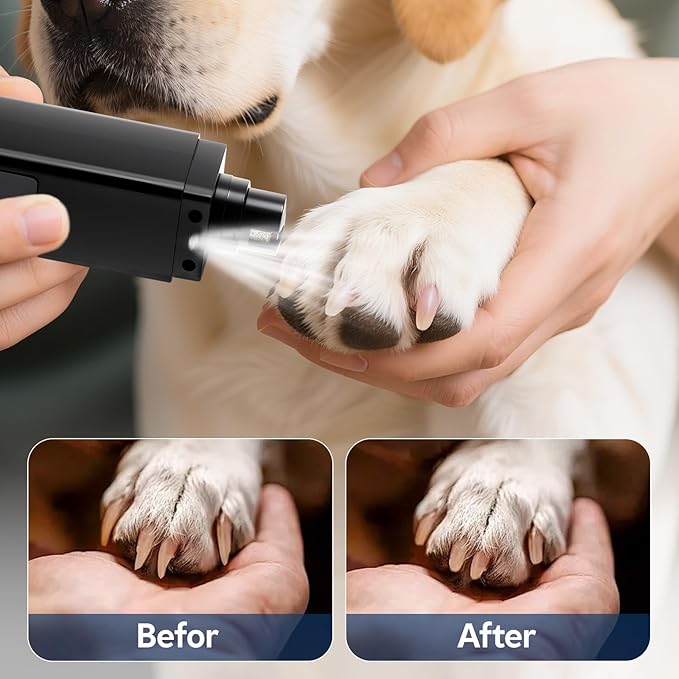 Rechargeable Dog Nail Grinder with 4-Speeds,Pet Claw Trimmers with 2 Modes Lighting UV, Nail Clippers for Small Medium and Large Dogs and Cats, Animal Nail Care,Grooming (Black)