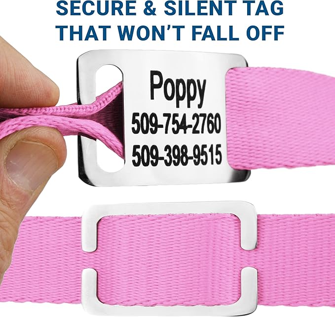 GoTags Personalized Dog Collar with Nameplate, Adjustable Dog Collar with Custom Engraved Slide On Pet ID Tag in Stainless Steel, Silent, No Noise Dog Tag for Large Medium and Small (Pink, X-Small)