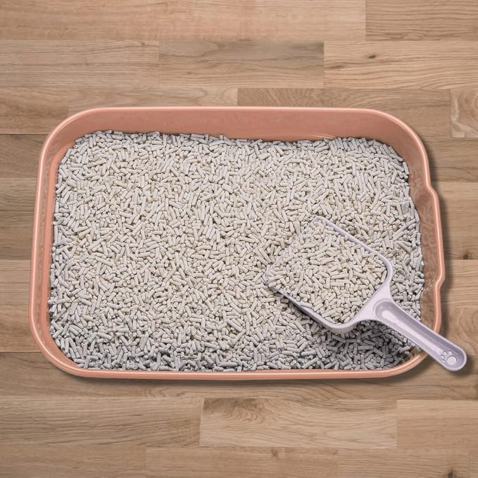 Kitty Litter Box Starter Kit - Small Cat Litter Pan Without Lid, Litter Mat, Scoop and Bowl for Kitten Within 3 Months (PinkScoop Set)