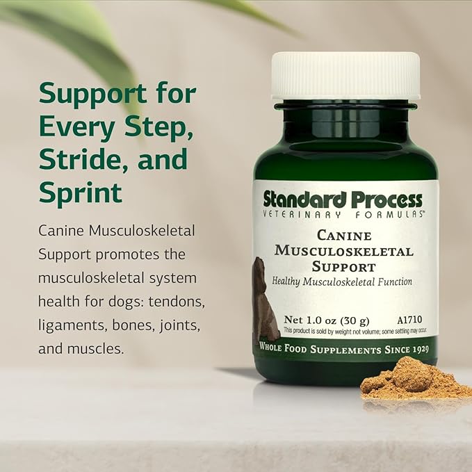 Standard Process Canine Musculoskeletal Support - Bone & Joint Health Formula for Pets - Canine Musculoskeletal Support Supplement - Supplement for Dogs to Aid Joint Comfort & Muscle Health - 30 g