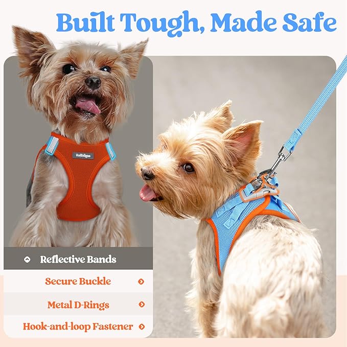 rabbitgoo Dog Harness Small Sized and Leash Set, Step in Soft Light Puppy Vest, Breathable Mesh Pet Harness, Reflective for Safe Easy Walking, Blue & Orange XS