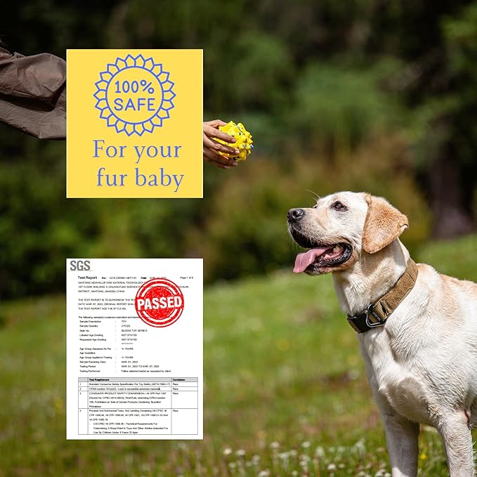 Durable Interactive Dog Toys for Aggressive Chewers,Puppy Teething Toys,Floating Fetch Balls,Bouncing Chew Balls,Tennis Balls for Dogs (2 Balls)