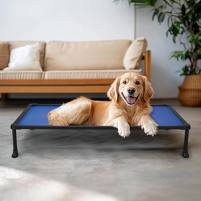 Veehoo Chew Proof Dog Bed, Non-Chewable Cot for Large Dogs, Anti-Scratch Durable Hammock Raised Place for Training Platform, Outdoor Cooling Off Ground, CWC2420ACP
