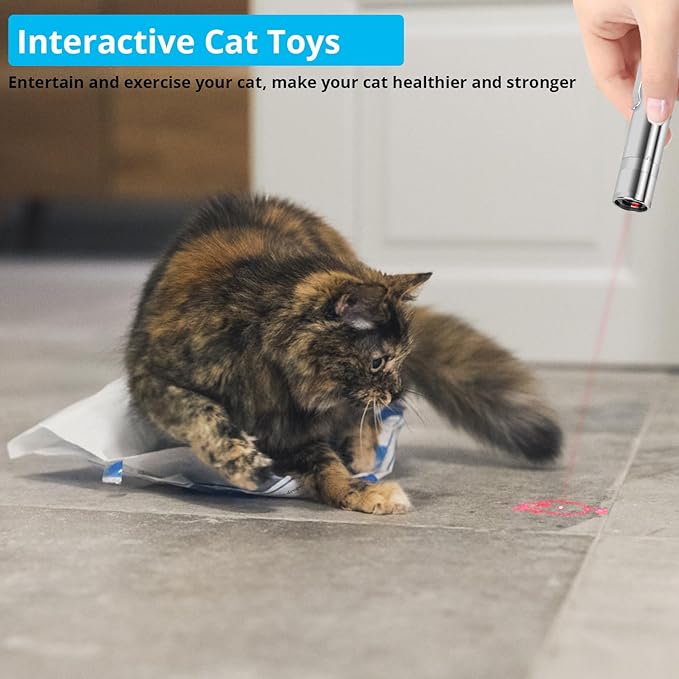 Cat Toy Pointer for Indoor Cats, 2 Pieces, USB Rechargeable Kitten Toys with 7 Adjustable Patterns, Interactive Chase Toys for Indoor Cats & Dogs, Training & Exercise Fun