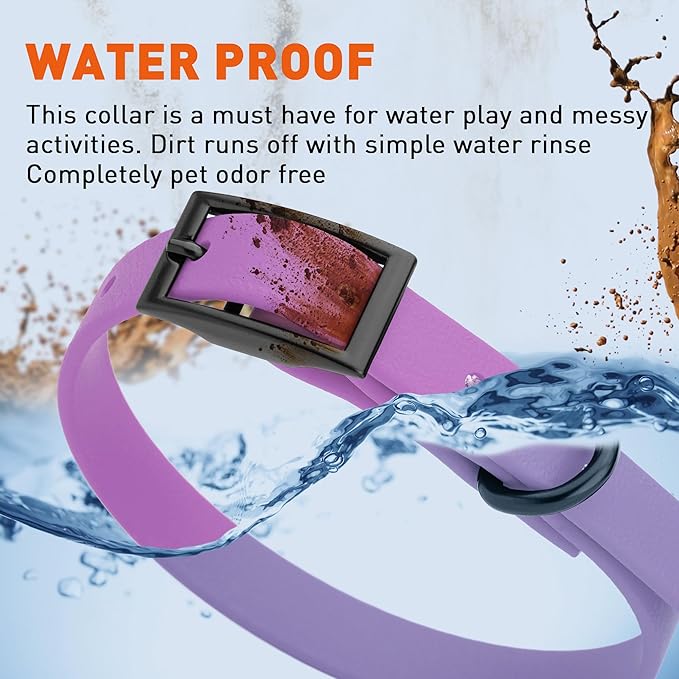 Dogline Biothane Waterproof Dog Collar Strong Coated Nylon Webbing with Black Hardware Odor- Proof for Easy Care Easy to Clean High Performance Fits Small Medium or Large Dogs, Amethyst Purple