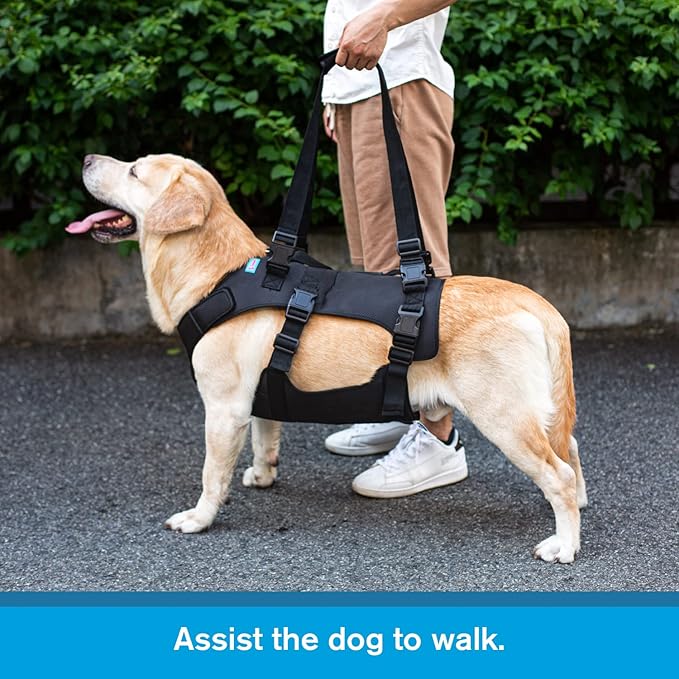 Dog Lift Harness, Rehabilitation Lifts Vest for Dogs, Support & Recovery Sling, Adjustable Breathable Lifting Straps for Old, Joint Injuries, Arthritis, Paralysis Dogs Walk (S, Black)