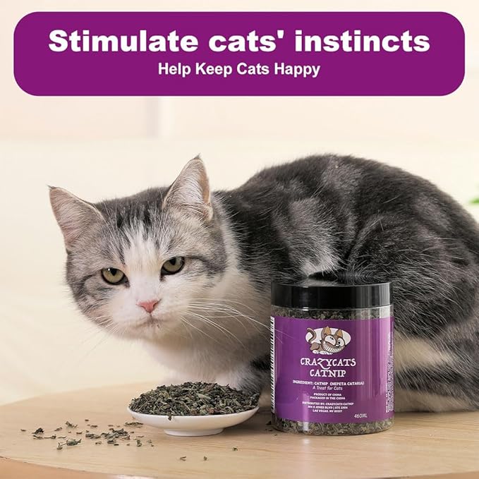 Organic Natural Catnip Cattle Grass Mint Taste Funny Cat Toy New Cat Toy Interactive Cat Toys Pet Supplies