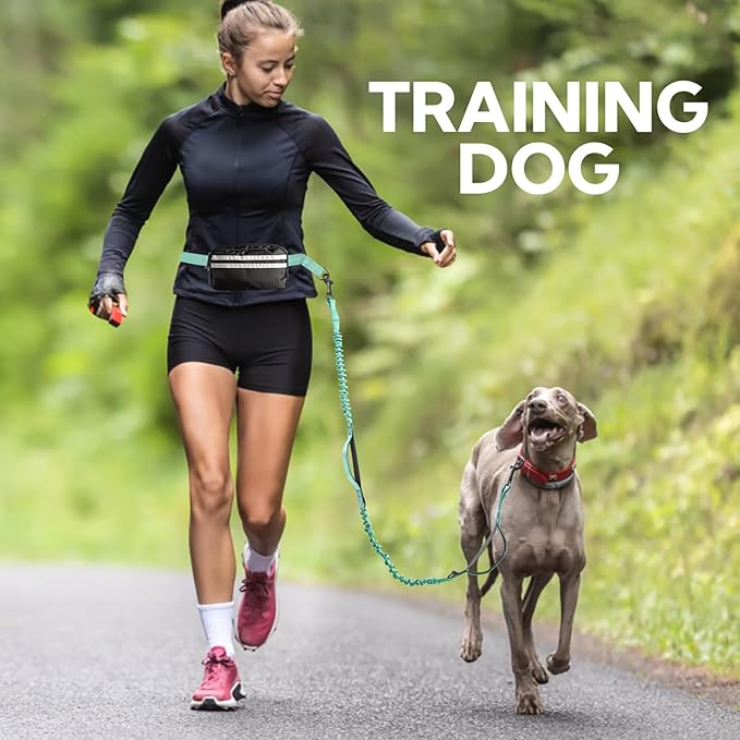 Hands Free Dog Leash, Retractable Bungee with Double Padded Handles, Waist Leash for Dog Walking, Heavy Duty Dog Leash for Medium & Large Dog, Dog Walking Accessories, Green