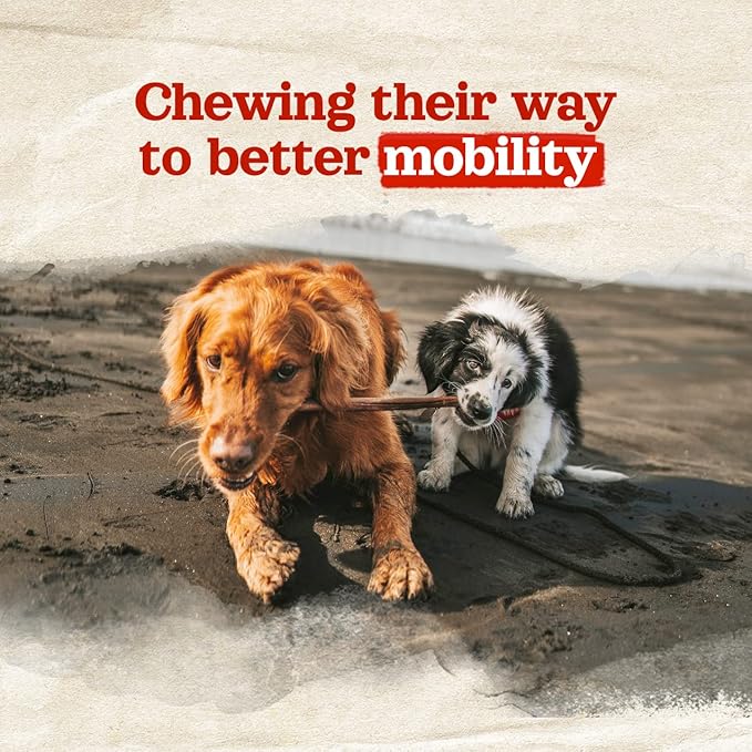 Natural Farm Collagen Sticks (6 Inch, 20 Pack). Odor-Free, 95% Natural Collagen Dog Chews, Supports Healthy Joints, Skin & Coat - Best Rawhide Alternative for Small & Medium Dogs