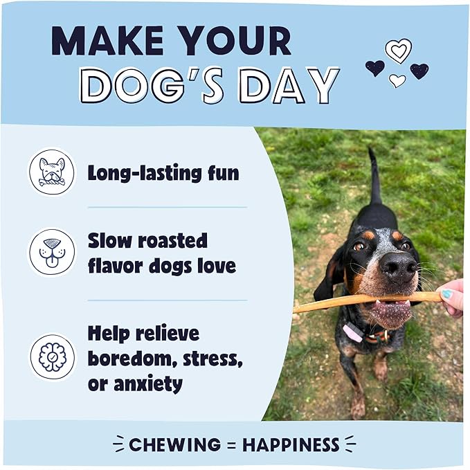 Pawstruck All-Natural 12" Bully Sticks for Dogs - Long Lasting, Rawhide-Free, Low Odor & Grain-Free Dental Chew Treat - Healthy Single Ingredient, 100% Real Beef - 1 lb Bag