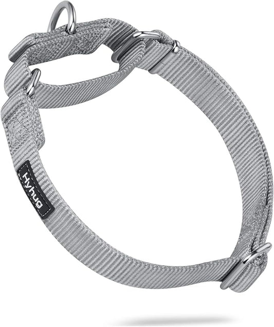 Hyhug Pets Premium Upgraded Heavy Duty Nylon Anti-Escape Martingale Collar for Pup Boy and Girl Dogs Comfy and Safe - Professional Training, Daily Use Walking. (Small, Sleet Gray)