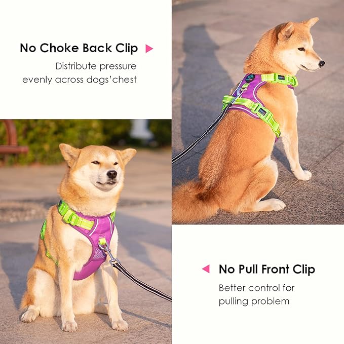 PHOEPET No Pull Dog Harness, Unique Colors Reflective Adjustable Dog Vest, with Soft Training Handle Metal Clips for Small Medium Large Dogs (Purple Base & Green Straps,XL)