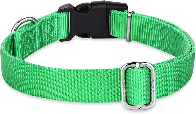 Hyhug Pets Classic Regular Heavy Duty Nylon Dog Collar (Small, Lime Green)