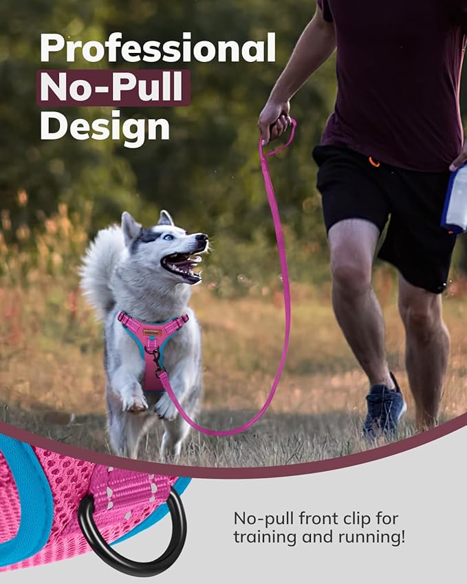 MIDOG No-Pull Dog Harness | Adjustable & Reflective Pet Harness Leash Set for Small Medium Large Dogs Walking, Training| No Choke, Front Clip, Soft Padded Vest with Easy Control Handle - Pink, M