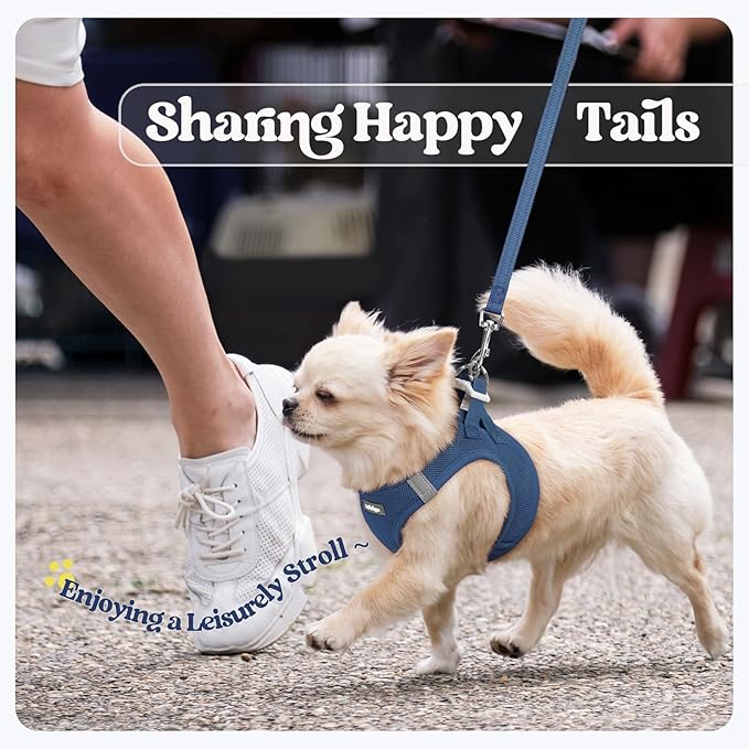 rabbitgoo Dog Harness Small Sized and Leash Set, Step in Soft Light Puppy Vest, Breathable Mesh Pet Harness, Reflective for Outdoor Safe Walking, Navy Blue XXXS