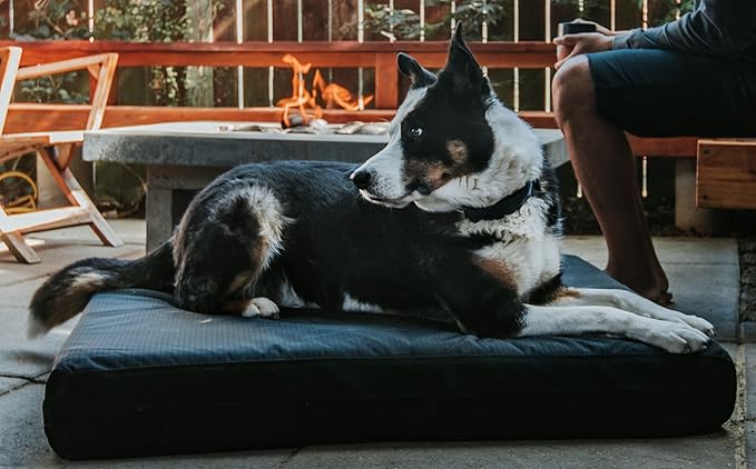 K9 Ballistics Tough Ripstop Orthopedic Rectangle Dog Bed Removable Washable Cover, Solid Orthopedic Foam for Size M Medium Dogs 33"x27", Sandstone