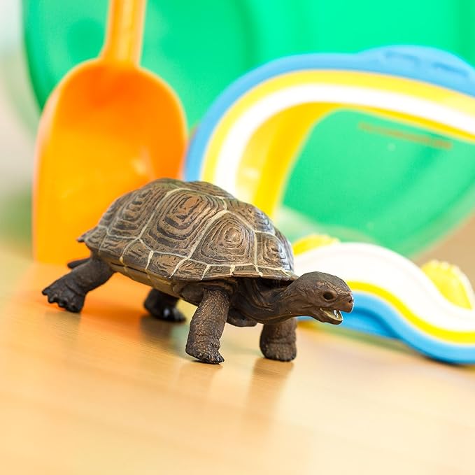 Safari Ltd. Tortoise Baby Figurine - Detailed 5.5" Plastic Model Figure - Fun Educational Play Toy for Boys, Girls & Kids Ages 18M+