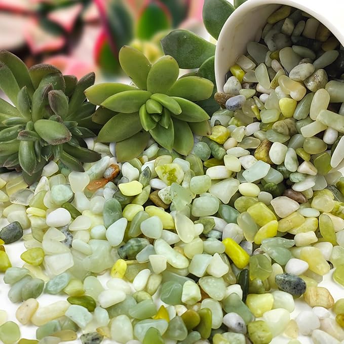 5 lbs Jade Pebbles for Indoor Plants,1/4 inch Polished Gravel Rocks for Plants, Succulents, Cactus, Vases, Terrarium and Outdoor Gardening