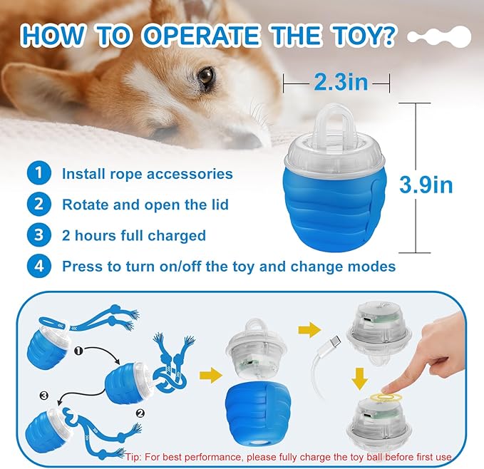 Interactive Dog Toys - [2025 Newly Upgraded] Motion Activated Ball for Small/Medium/Large Dogs, Automatic Moving Dog Toy Wicked Ball for Boredom & Training, Music, USB Rechargeable (Blue)