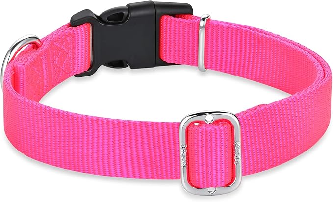 Hyhug Pets Classic Regular Heavy Duty Nylon Dog Collar with Easy to Put On & Off Buckle. (Small, Hot Pink)