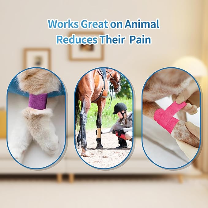 PHYTOP Self Adhesive Bandage Wrap 4 inches x 5 Yards, 12 Pack of Cohesive Tape for First Aid, Sports, Wrist and Ankle, Also for Horses & Dogs as Vet Wrap (Beige)