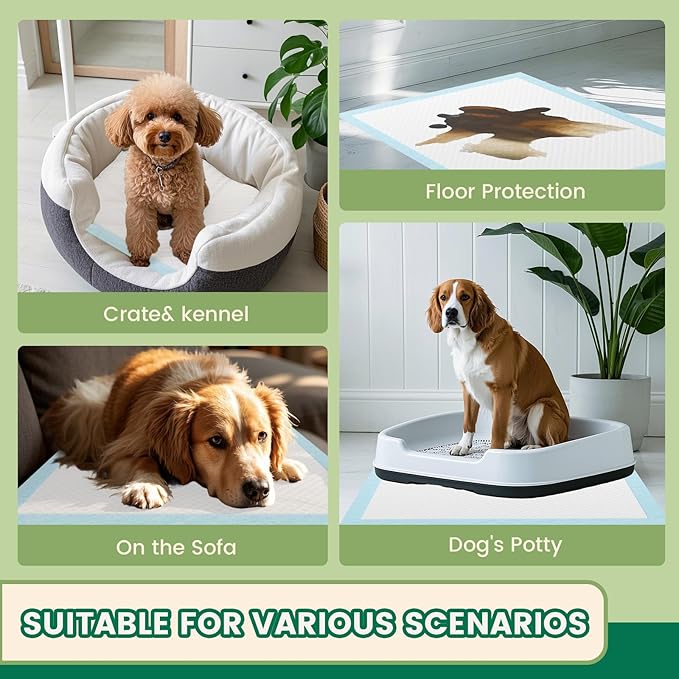 IMMCUTE Puppy Pads 30x28 Inches, 30 Count- Extra Large Super Absorbent Puppy Training Pads with Double Leak-Proof Layer | Thick Disposable Potty Pads for Dogs, Puppies & Pets | Odor Control, Quick Dry