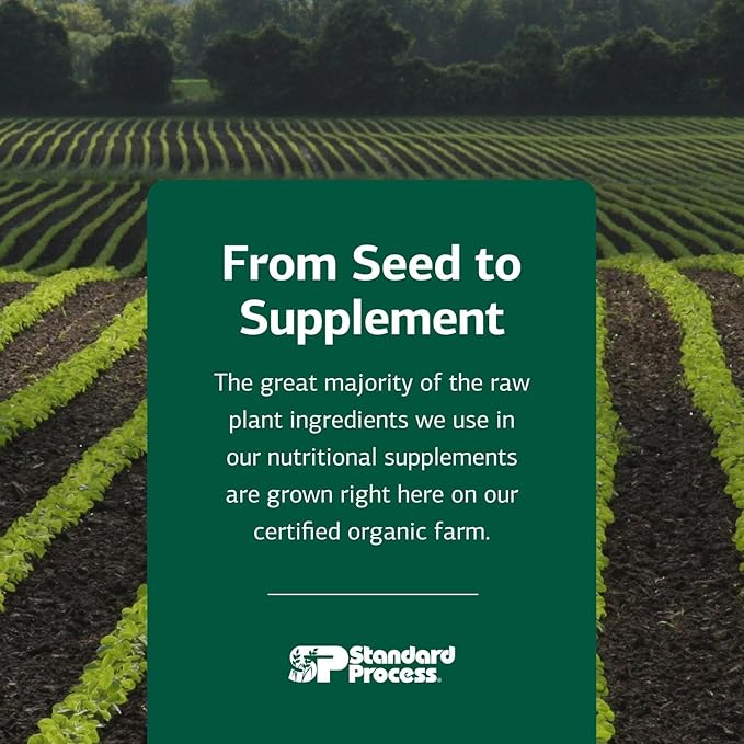 Standard Process Canine Musculoskeletal Support - Bone & Joint Health Formula for Pets - Canine Musculoskeletal Support Supplement - Supplement for Dogs to Aid Joint Comfort & Muscle Health - 30 g