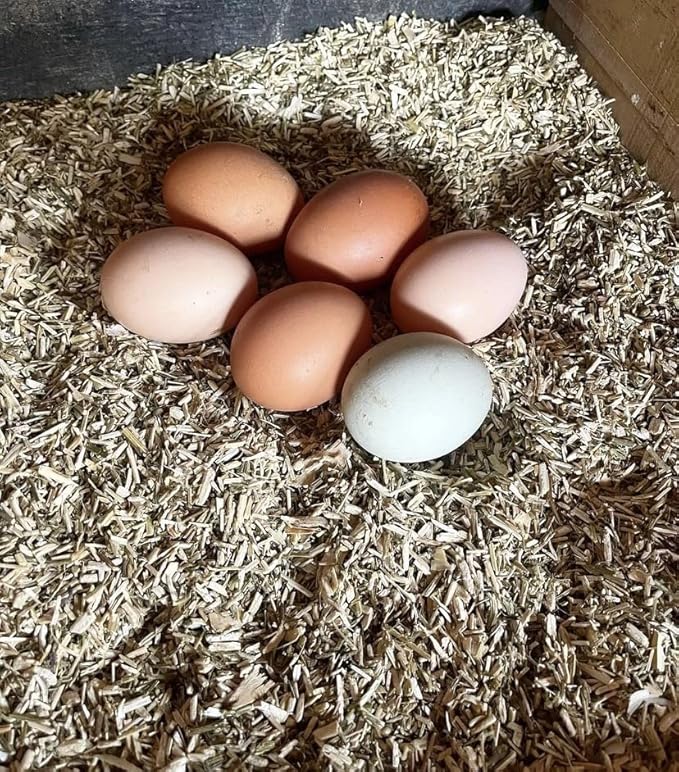 Eaton Pet and Pasture, Naturally Grown Hemp Pet Bedding for Chickens, Nesting Boxes, Rabbits, Hamsters, Small Pets, Highly Absorbent, Hypoallergenic, Eco-Friendly, Farmer Owned 28L